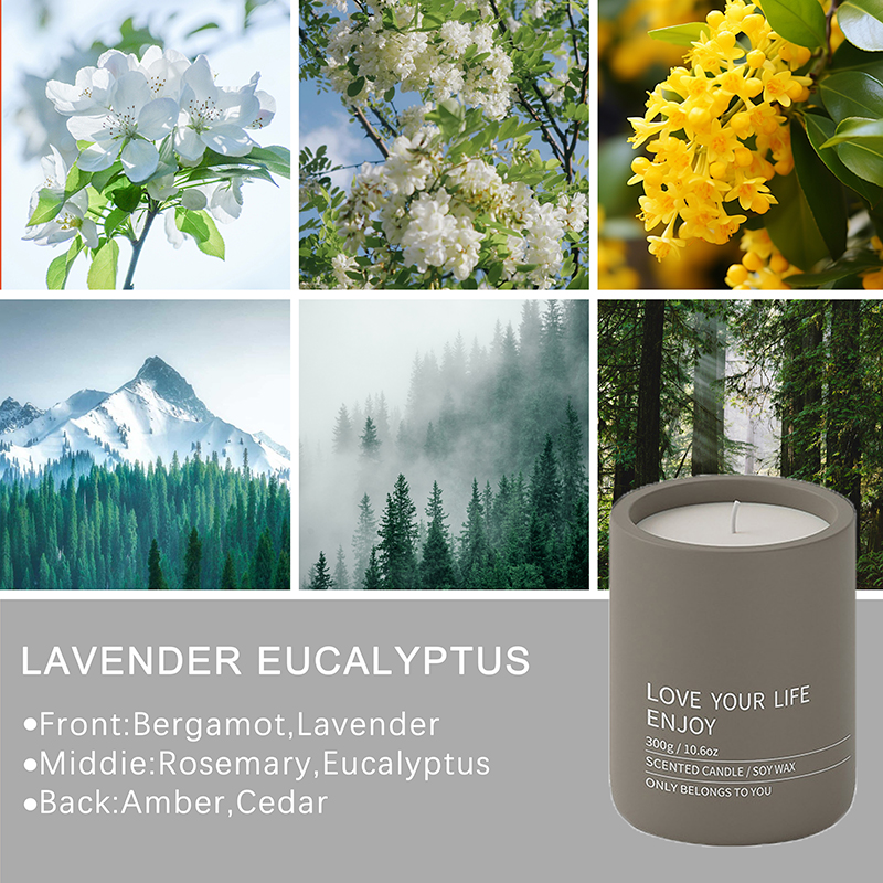 Công ty TNHH Nhà Habest Ninh Ba