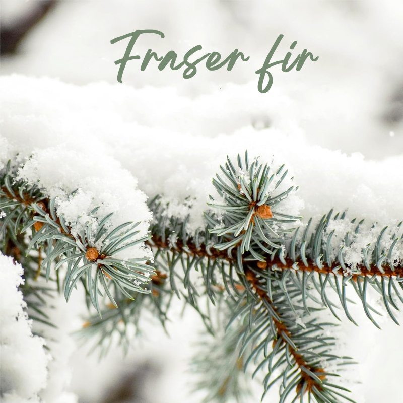 Công ty TNHH Nhà Habest Ninh Ba