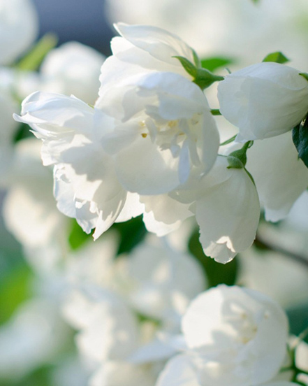 Công ty TNHH Nhà Habest Ninh Ba