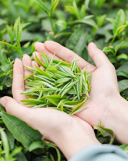 Công ty TNHH Nhà Habest Ninh Ba