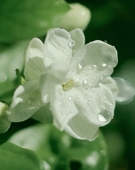 Công ty TNHH Nhà Habest Ninh Ba